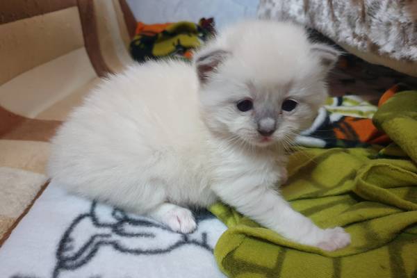 Photo de Ulina