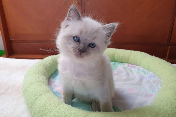 Photo de Stan