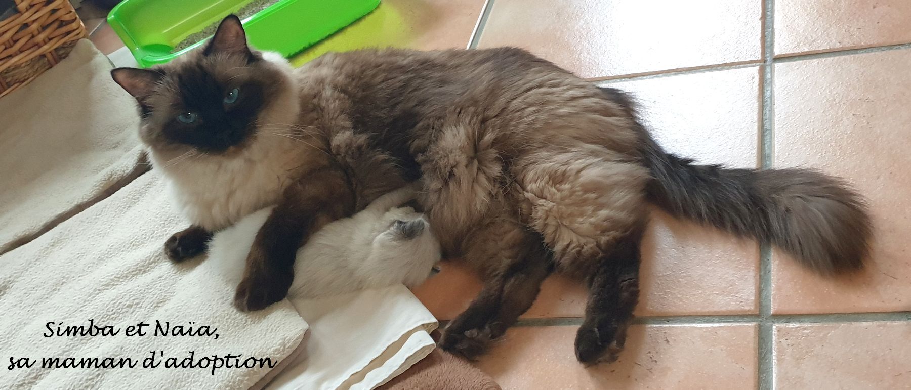 Photo de la portée du 15/01/2021