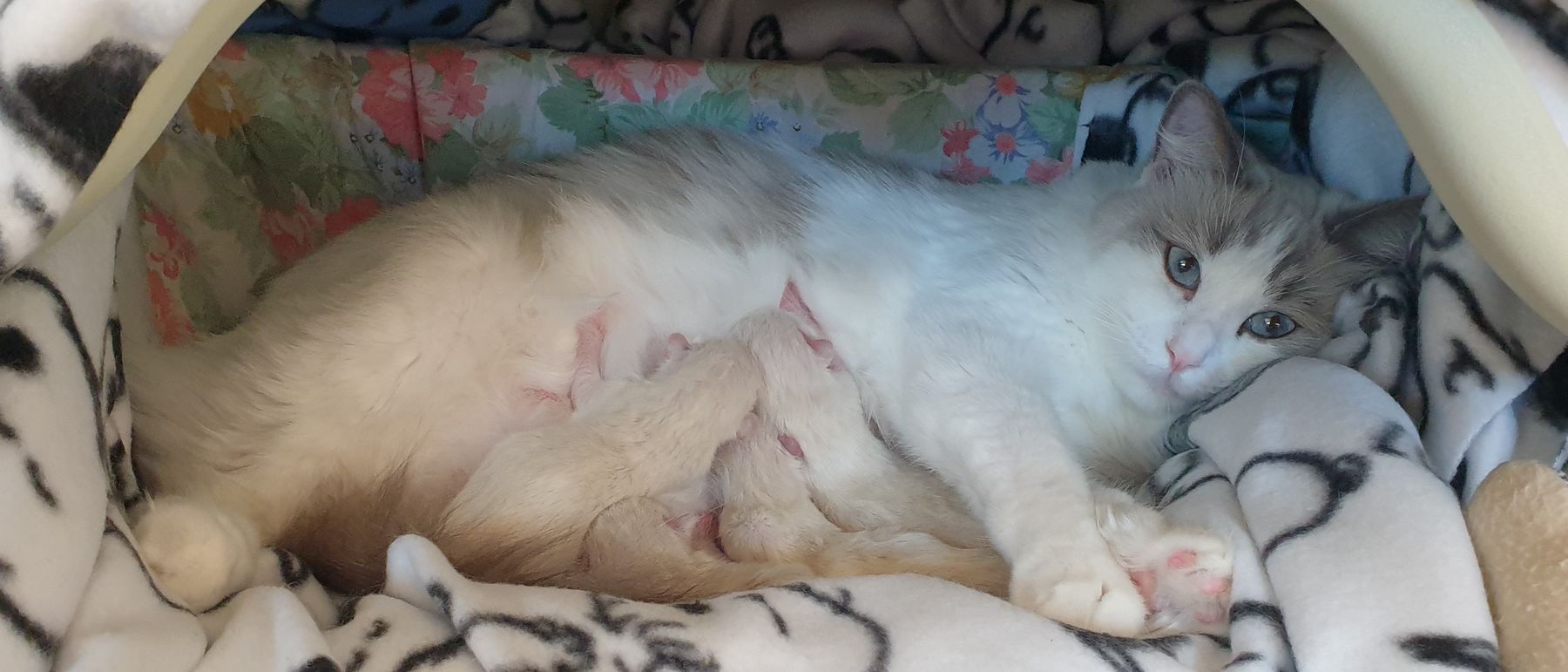 Photo de la portée du 28/09/2021