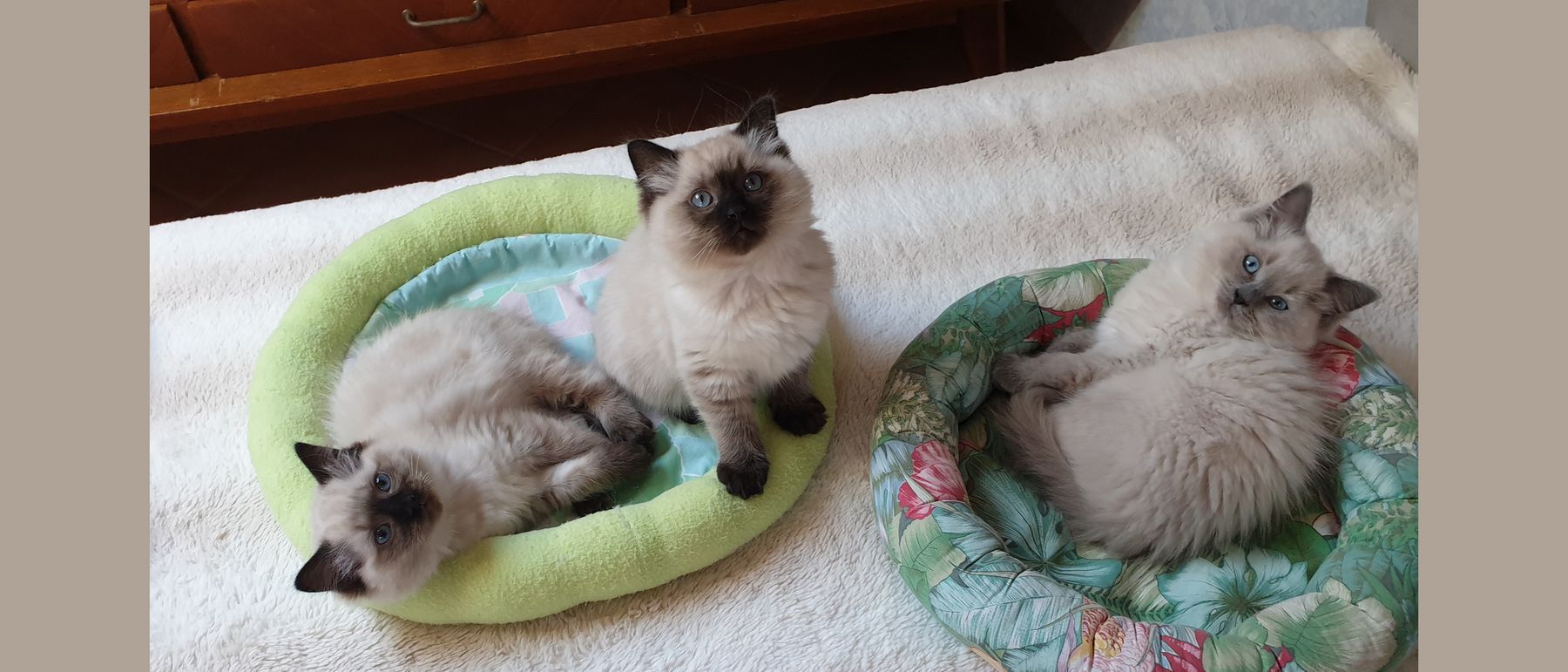 Photo de la portée du 24/10/2021