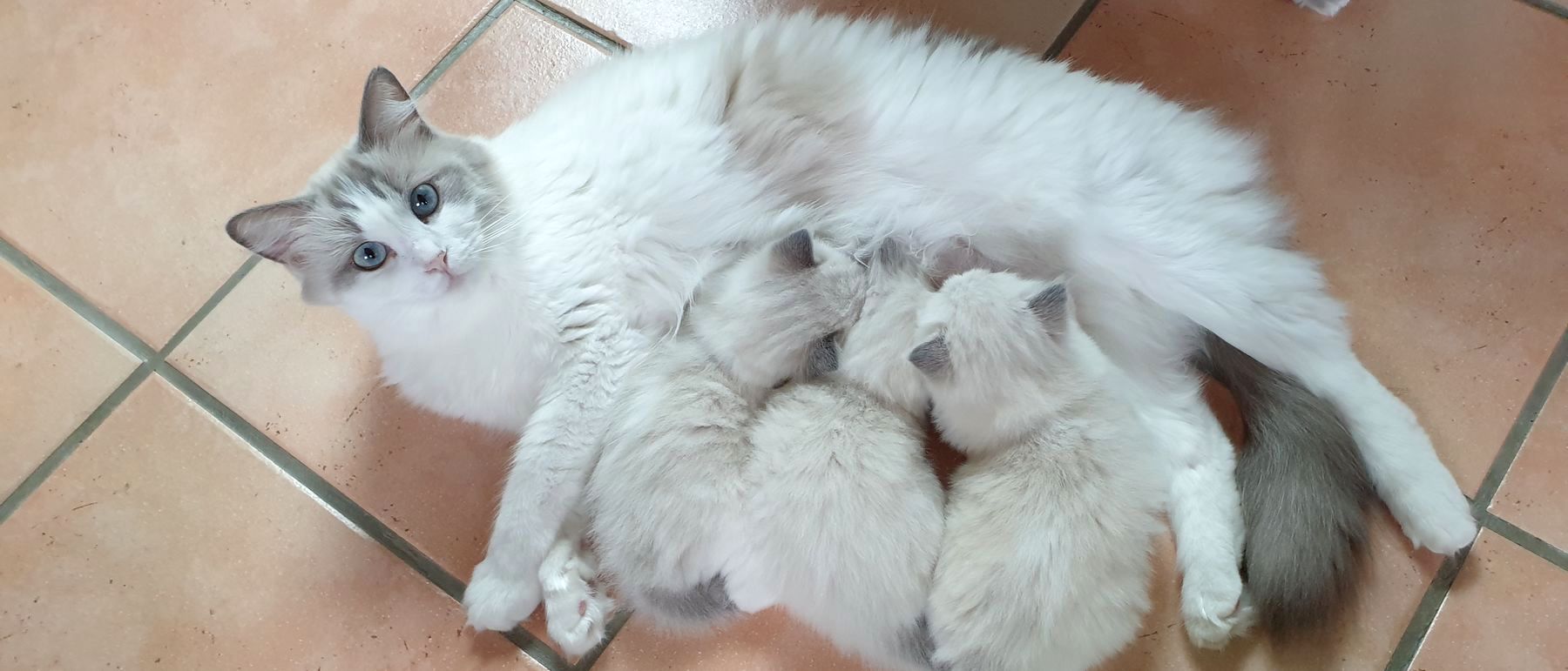 Photo de la portée du 17/08/2022