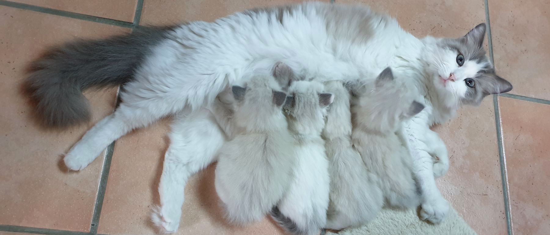 Photo de la portée du 12/05/2023