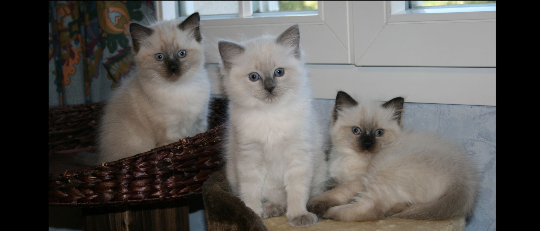 Photo de la portée du 28/07/2017